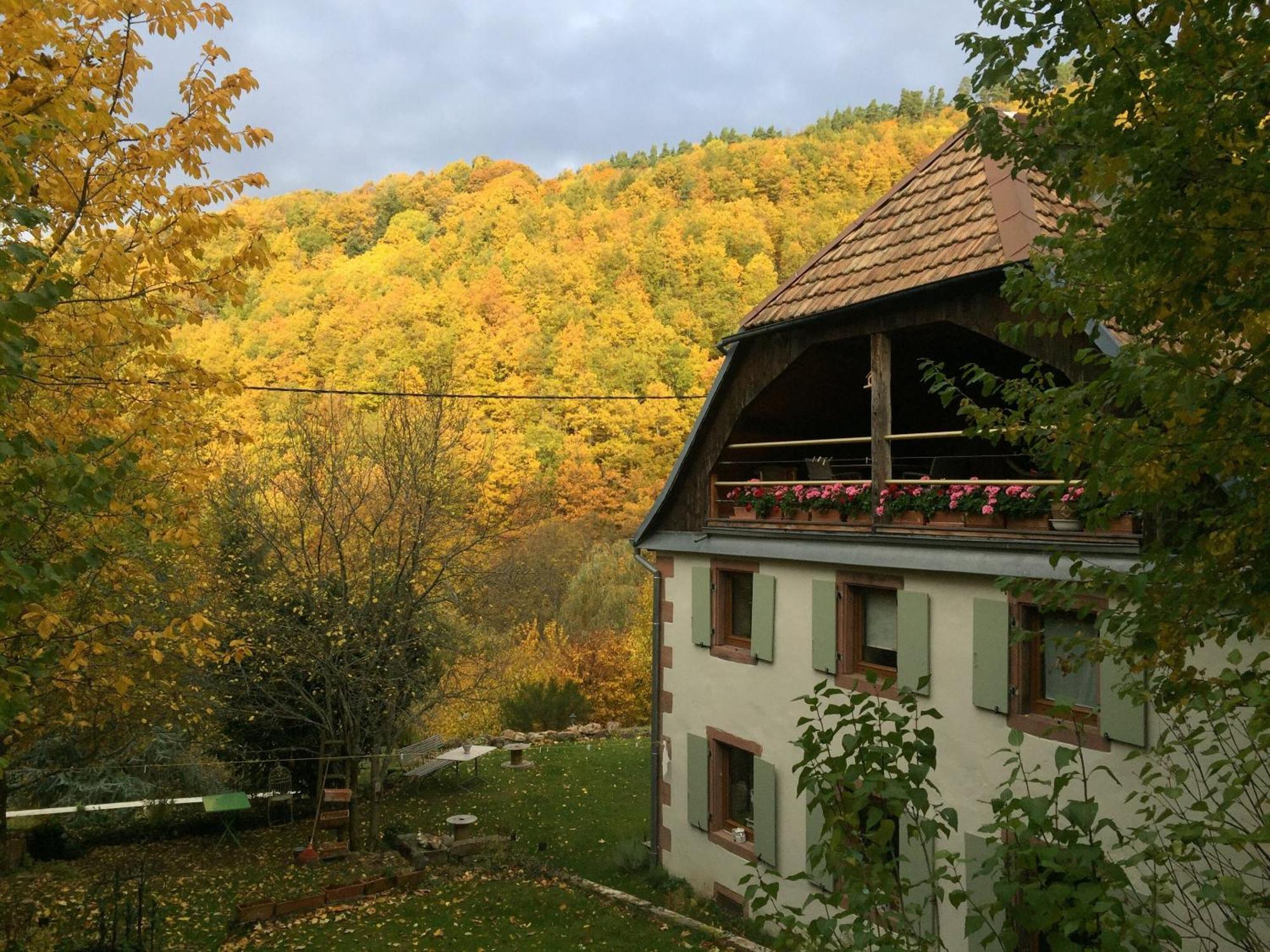 Hotel La Pierre D'Eau Fréland Esterno foto